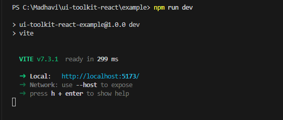 Figure 2: Vite dev server running successfully